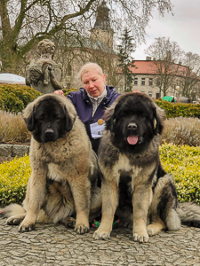 Hodowla owczark�w kaukaskich, kaukazy z Imperial Eriador FCI