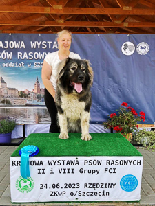 Hodowla owczark�w kaukaskich, kaukazy z Imperial Eriador FCI