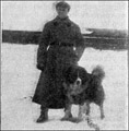 Hodowla owczark�w kaukaskich, kaukazy z Imperial Eriador FCI